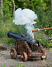 _DSC8453-2